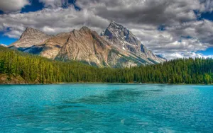 Beautiful Landscape Mountain Forest Trees Wallpaper