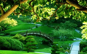 Beautiful Nature Green Park Wallpaper