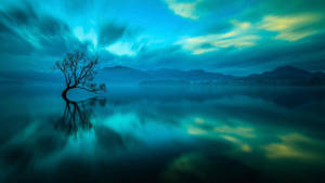 Beautiful Nature Photography Lake Tree Wallpaper