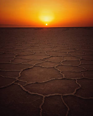 Beautiful Nature Sunset Dry Land Wallpaper