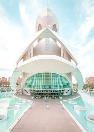 Beautiful Palau De Les Arts Valencia Wallpaper