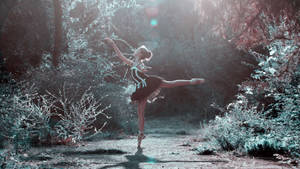 Beautiful Professional Ballet Dancer Inspiration Wallpaper