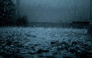 Beautiful Rain Hitting The Ground Wallpaper