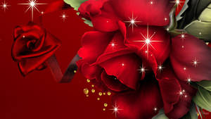 Beautiful Rose Hd Image With Sparkles Wallpaper