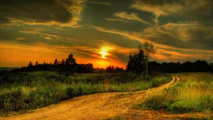 Beautiful Scenery Desktop Country Road Sunset Wallpaper