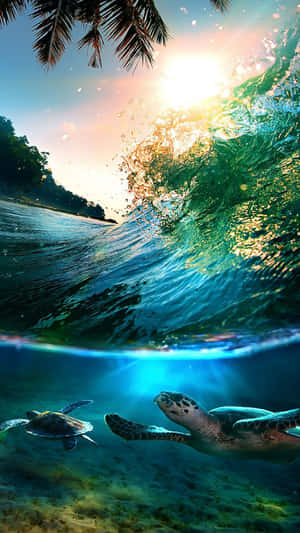 Beautiful Sea Waves & Swimming Turtles Wallpaper