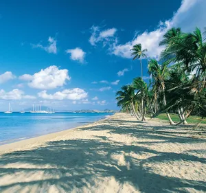 Beautiful St. Kitts And Nevis Beach Wallpaper