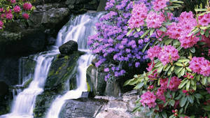 Beautiful Waterfall Pink And Purple Flowers Wallpaper