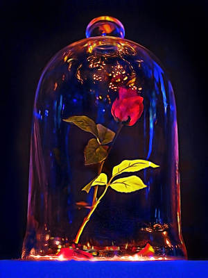 Beauty And The Beast Rose Blue Light Wallpaper