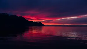 Beauty Of Dark Nature In The Evening Wallpaper