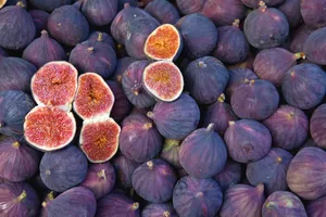 Bed Of Common Figs Wallpaper