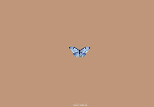 Beige Brown Aesthetic Blue Butterfly Wallpaper