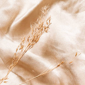 Beige Chiffon Fabric Wallpaper