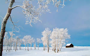 Beiji Village Winter Desktop Wallpaper