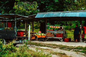 Belize Fruit Stall Wallpaper
