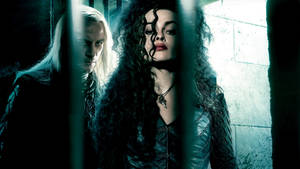 Bellatrix Lestrange Fierce Look Wallpaper