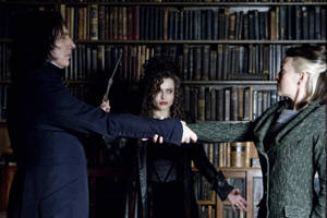 Bellatrix Lestrange Posing Against A Bookshelf In The Hogwarts Library Wallpaper