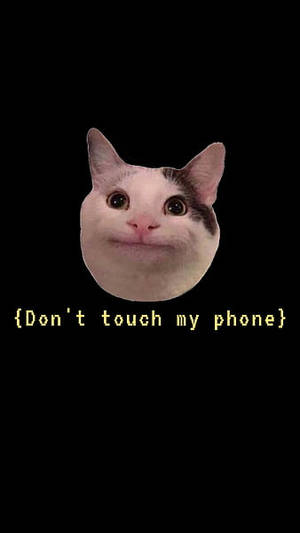 Beluga Cat Face Sticker Wallpaper