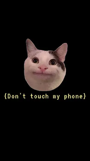 Beluga Cat Face Sticker Wallpaper