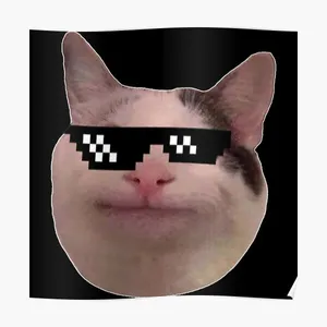 Beluga Cat With Sticker Shades Wallpaper