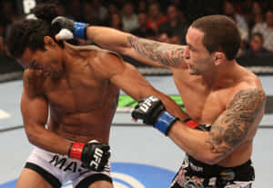 Ben Henderson And Frankie Edgar Ufc 150 Wallpaper