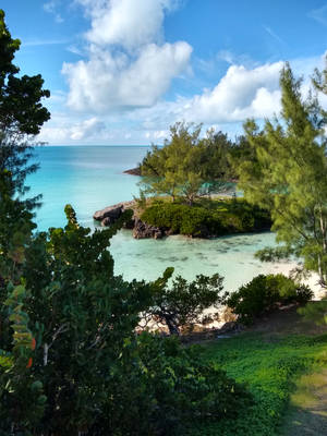 Bermuda Island View Wallpaper