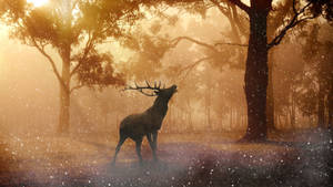 Best 4k Uhd Deer Artwork Wallpaper