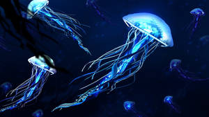 Best 4k Uhd Neon Jellyfishes Wallpaper