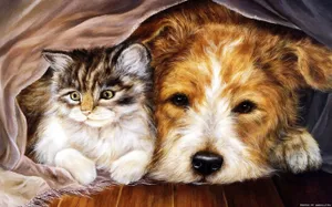 Best Cat And Dog Wallpaper