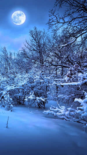 Best Winter Theme Photograph Wallpaper