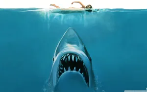 Beware Of The Scary Shark Lurking In The Deep Wallpaper