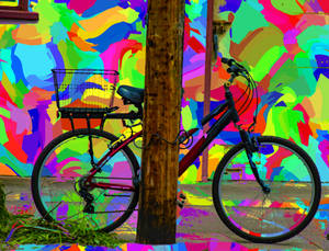 Bicycle Colorful Wall Wallpaper