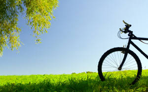 Bicycle Front On Grass Wallpaper