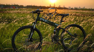 Bicycle On Meadow Wallpaper