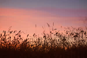 Bid Farewell To Summer With An Incredible Beach Sunset. Wallpaper