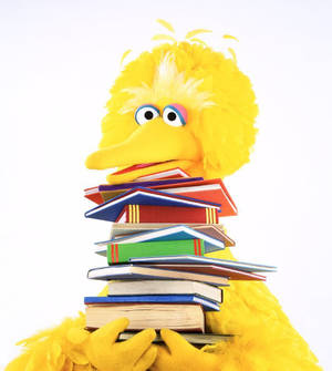Big Bird Holding Books Wallpaper