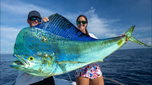 Big Catch Mahi Mahi Fishing Trip Wallpaper