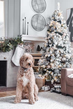 Big Christmas Dog With Tree Wallpaper