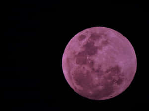 Big Pink Moon On Dark Sky Wallpaper