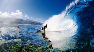 Big Wave Surfer Hd Sports Wallpaper
