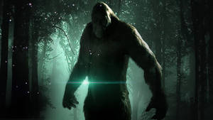Bigfoot Shadows In Green Forest Wallpaper