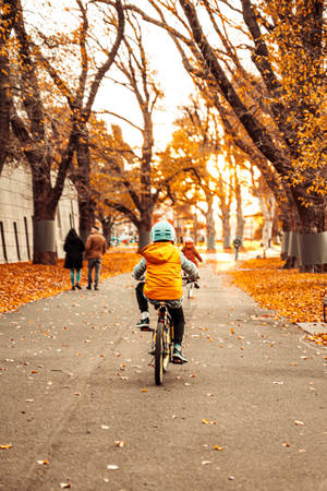 Bike Lover In Autumn Wallpaper