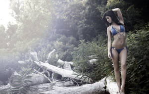 Bikini Girl Stands On Tree Bark Wallpaper