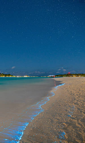 Bioluminescent Beach Wave Iphone Wallpaper
