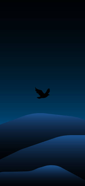 Bird Flying Minimal Dark Iphone Wallpaper