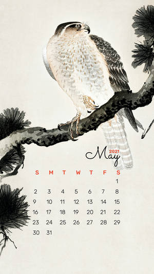 Bird Painting May Calendar 2021 Wallpaper