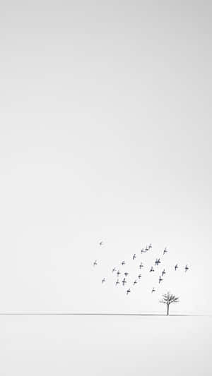 Birds Flying White Phone Wallpaper