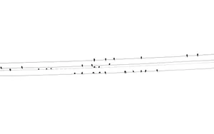 Birds On Cable Line White Minimalist Wallpaper