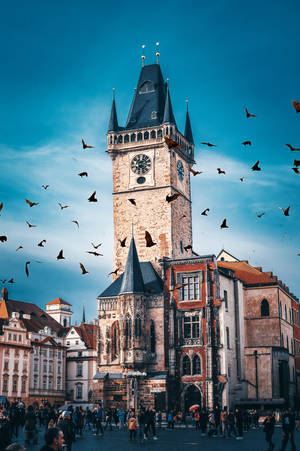 Birds Over Prague Czech Republic Wallpaper