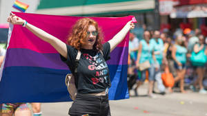 Bisexual Flag Parade Wallpaper